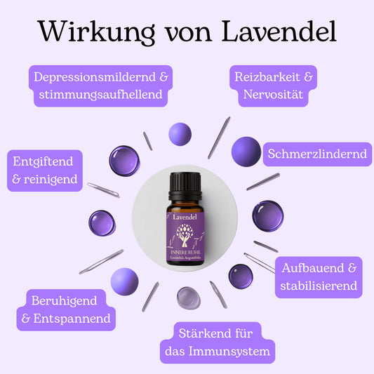 Ätherisches Lavendelöl – Bio-Qualität, 100% naturrein | 10 ml | Innere Ruhe